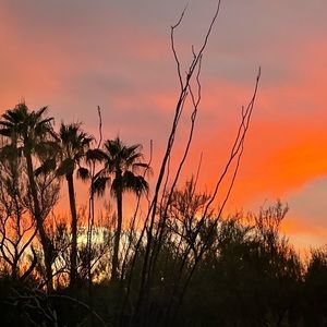 Meet your Posher, Kobi